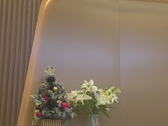 -天使口腔门诊部(上海店)