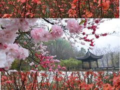 -南山风景名胜区