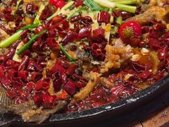 -老板恋上鱼(恒隆广场店)