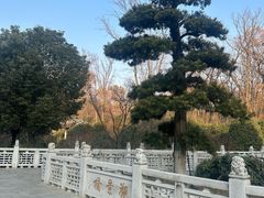 -南京东郊国宾馆
