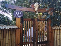 -大理地热国
