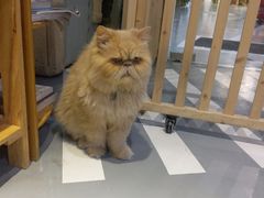 -小时光咖啡馆(开森度假森林店)
