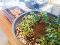 -Maxpoint Kitchen 西餐咖啡(乐峰广场店)