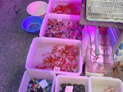 -双季花艺园艺市场(浦东店)