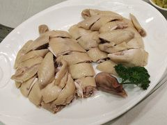 -清新鸡沙田乳鸽店(金融店)