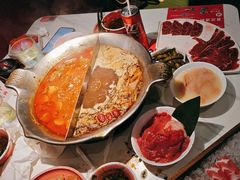 -九鼎轩脆毛肚火锅(三钢里店)