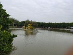 -大湾区中央湿地公园