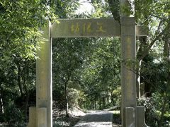 -上海佘山国家森林公园天马山园