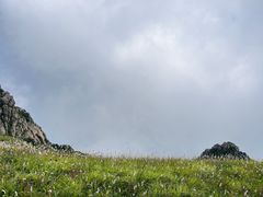 -白草畔自然风景区