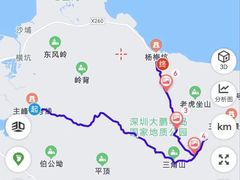 -杨梅坑