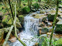 -姑婆山旅游区