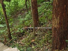 -小南山公园