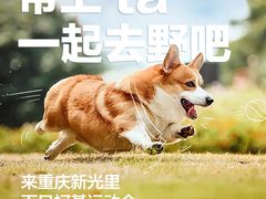-新光里