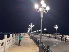 -野狸岛