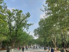 -渭滨公园