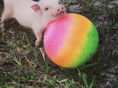 -兴福老面馆(寺路街店)