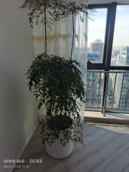 -HEYAN荷妍专业脱毛连锁机构