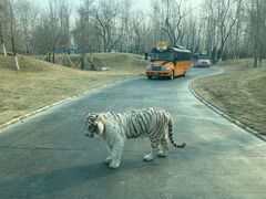 -北京野生动物园