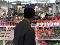 -KKV(深圳宏发大仟里店)