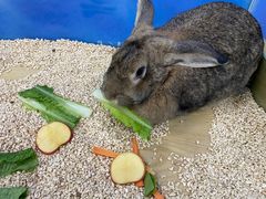 -昆明大悦城未来动物城(螺蛳湾中心店)