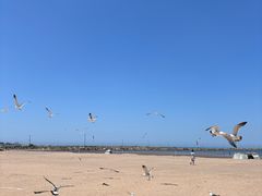 -王家村浴场