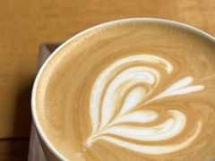 -溯洄咖啡VORTEX COFFEE