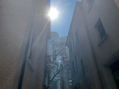 -徐家汇源景区-衡山坊