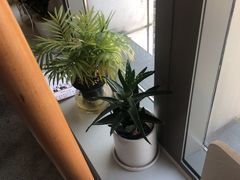 -丽辰新韩式商务SPA·洗浴桑拿·自助餐食