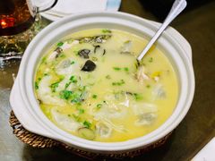 野生昂刺鱼馄饨-九福楼大酒店