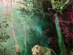 -武汉园博园(武汉自然博物馆)