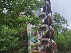 -欢乐松鼠谷