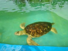 -北戴河圣蓝海洋公园