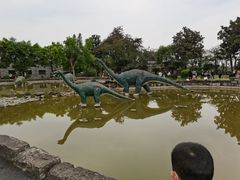 -自贡恐龙博物馆