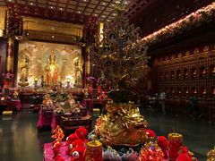 -新加坡佛牙寺龙华院