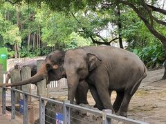 -深圳野生动物园