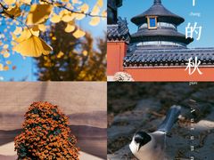-天坛公园