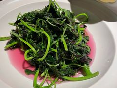 -许家菜(DT51店)