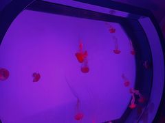 -沈阳海洋探索中心