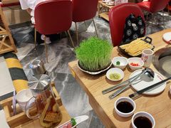 -好彩猪肚鸡(正弘城店)