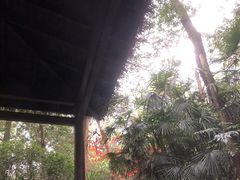 -青城道汤池