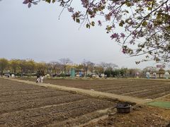 -盈香心动乐园