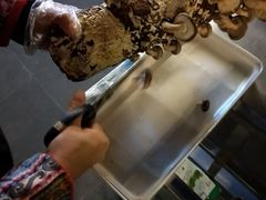 -楠柏弯休闲山庄(梨花溪店)