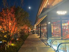 -弗兰克牛排西餐厅 Galla R By Ribone(上海首店)
