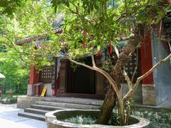 -武侯墓风景区