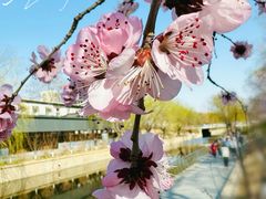 -元大都城垣遗址公园