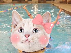 -成都安仁福朋喜来登酒店