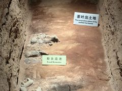 -汉景帝阳陵博物院