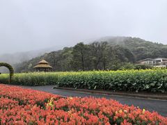 -广州市石门国家森林公园