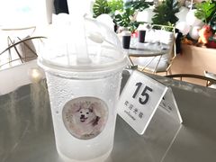 -Husky Go! 哈士奇体验馆·宠物咖啡厅狗咖