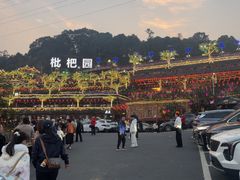-枇杷园食为鲜火锅(南山店)
